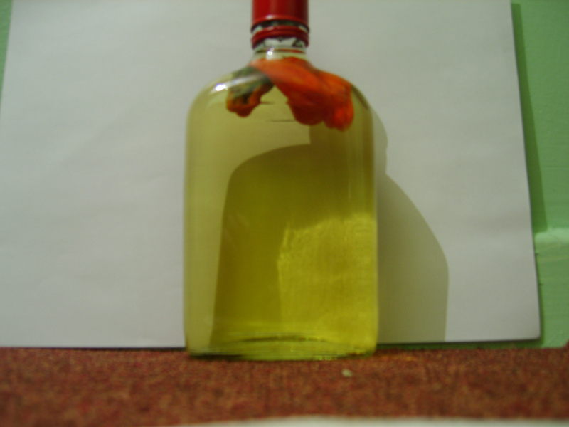 gallery_7_32_216740.jpg