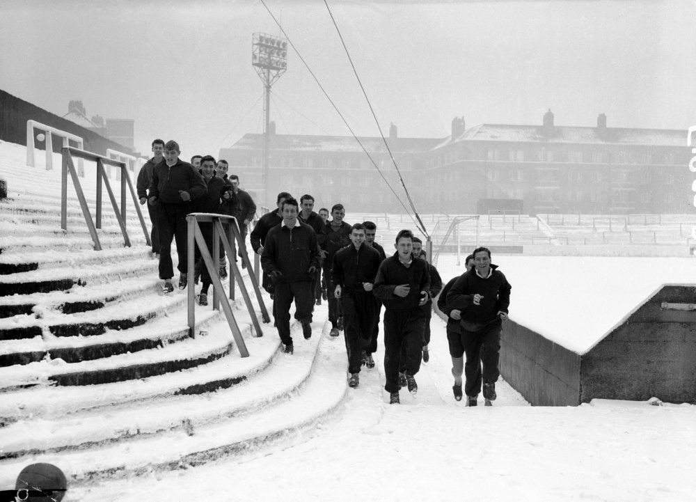 gallery_7_32_100591.jpg