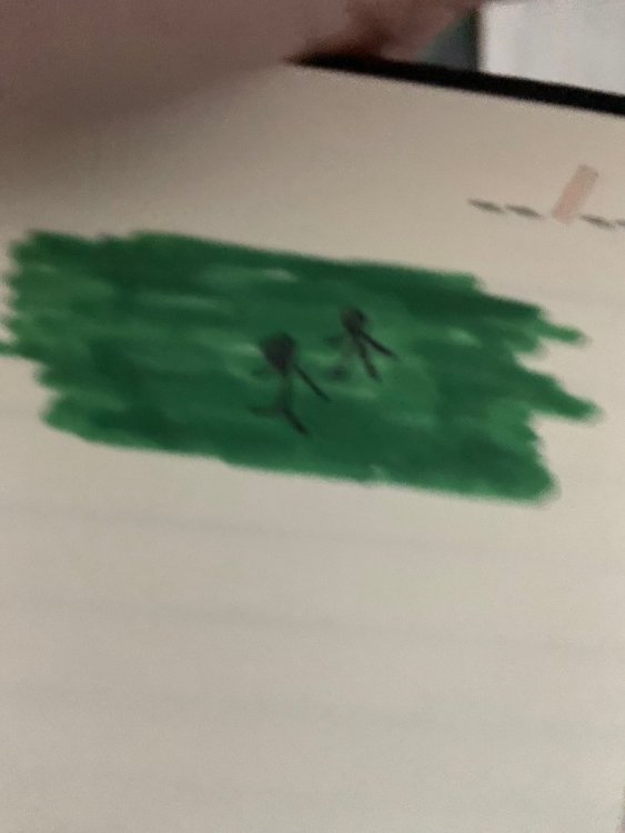 IMG_3848.thumb.jpeg.d501c138a078404b572dbe5308fd9106.jpeg