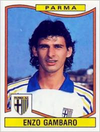 enzo gambaro Wanderers Ways. Neil Thompson 19612021